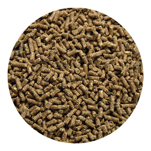 H 888-8 Optimal-Free