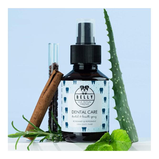 Zahnpflege Dental Care Spray