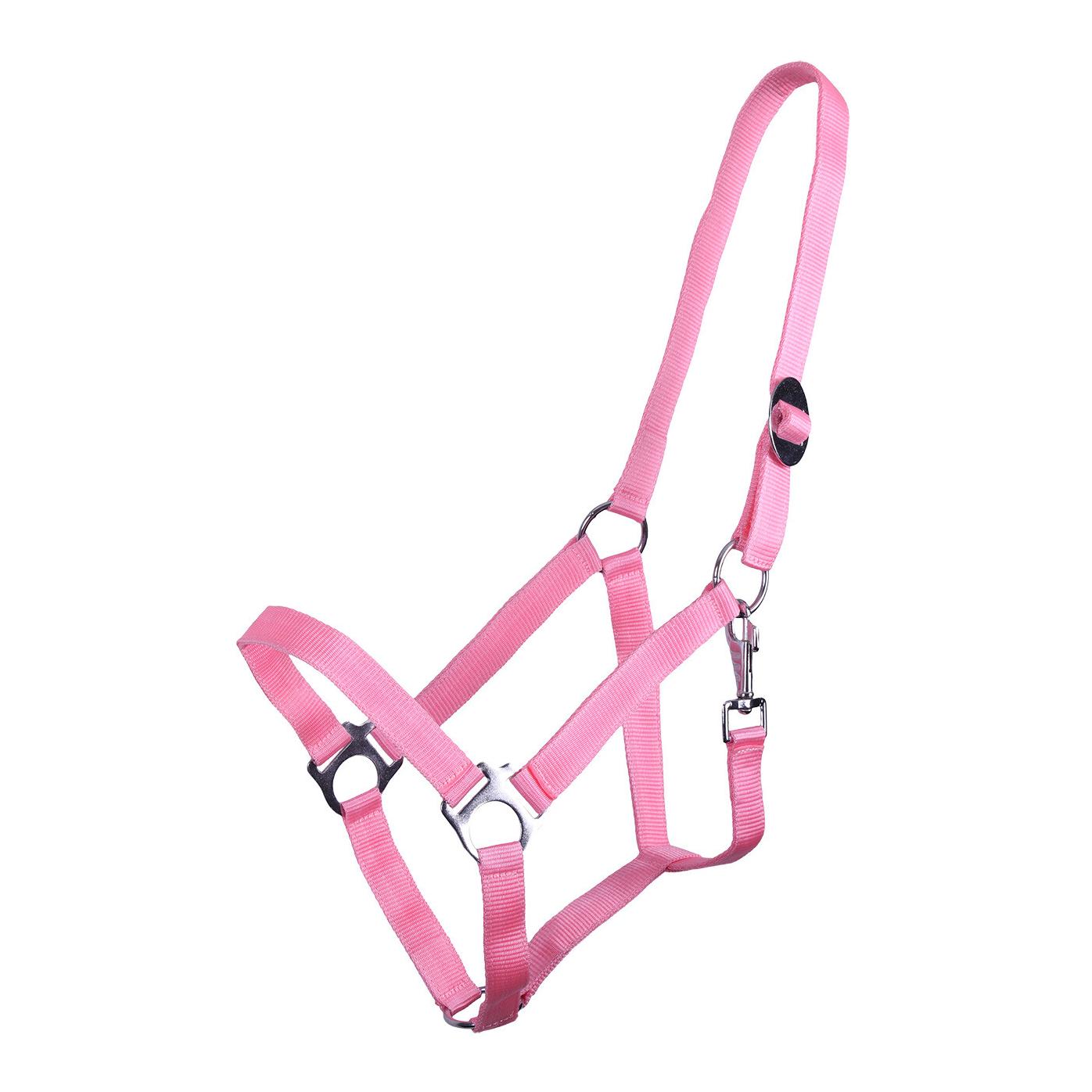 Nylonhalfter mit Schiebeschnalle