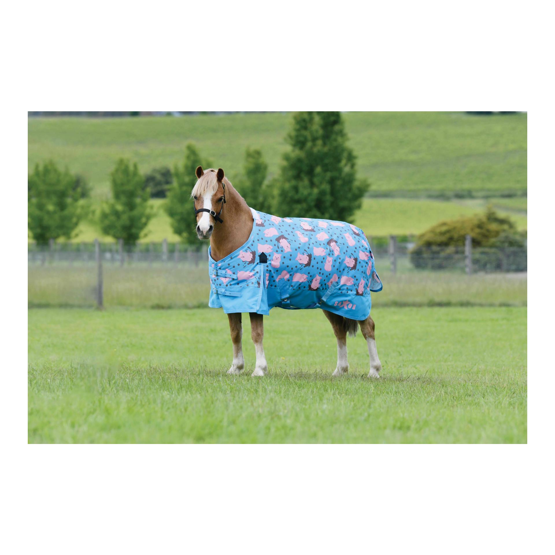 Weidedecke Pony 180g