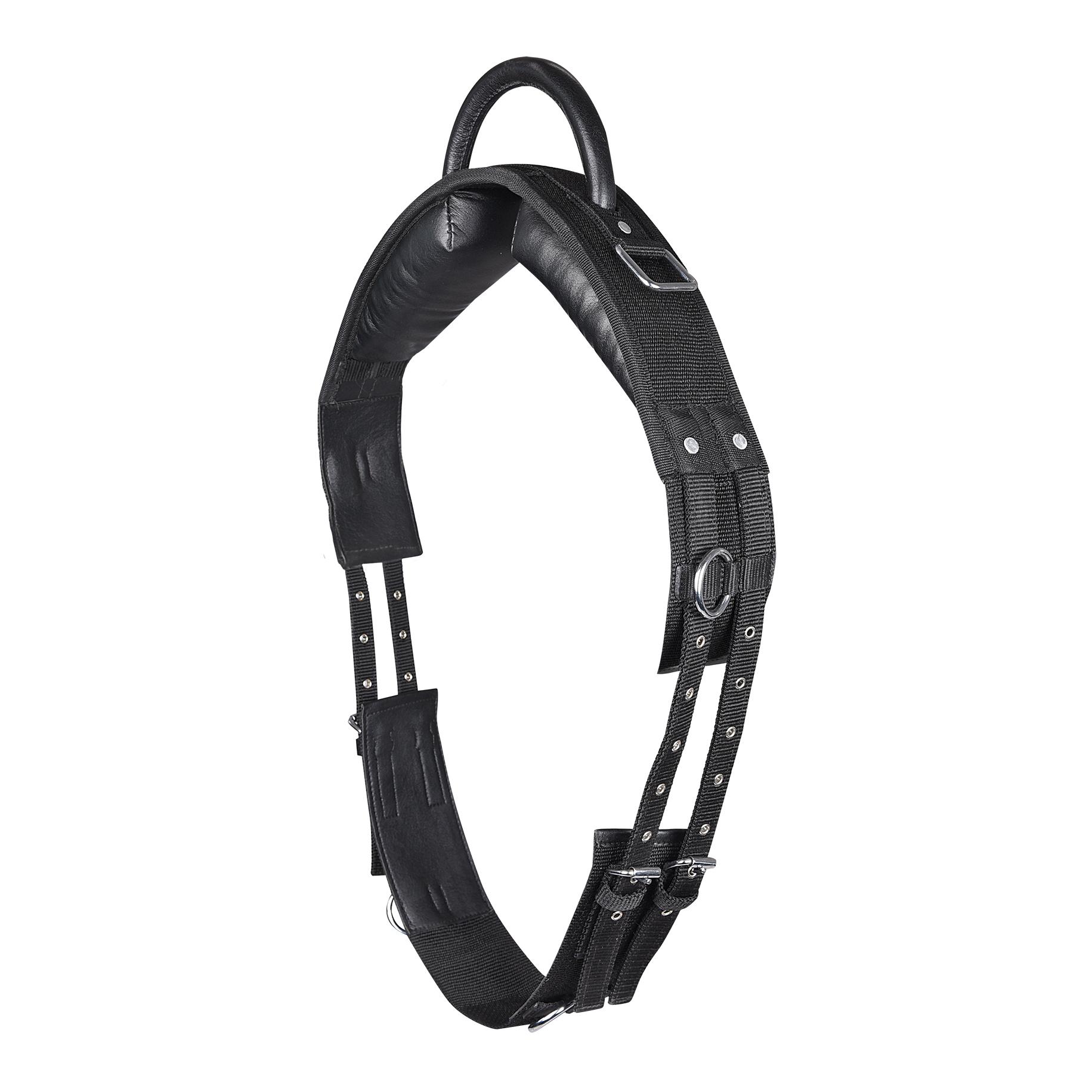 Longiergurt mit Handgriff