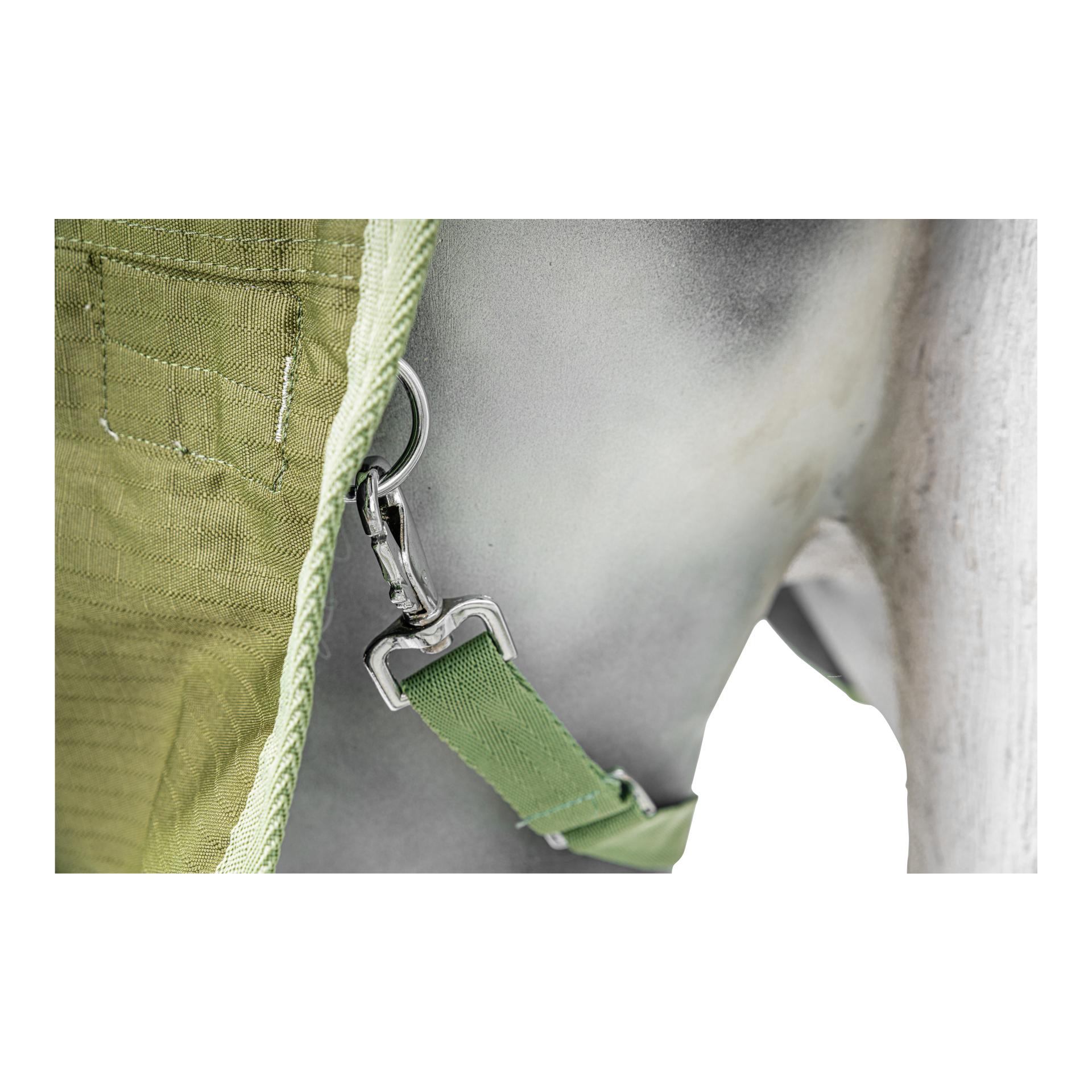 Weidedecke 200 g Dallas