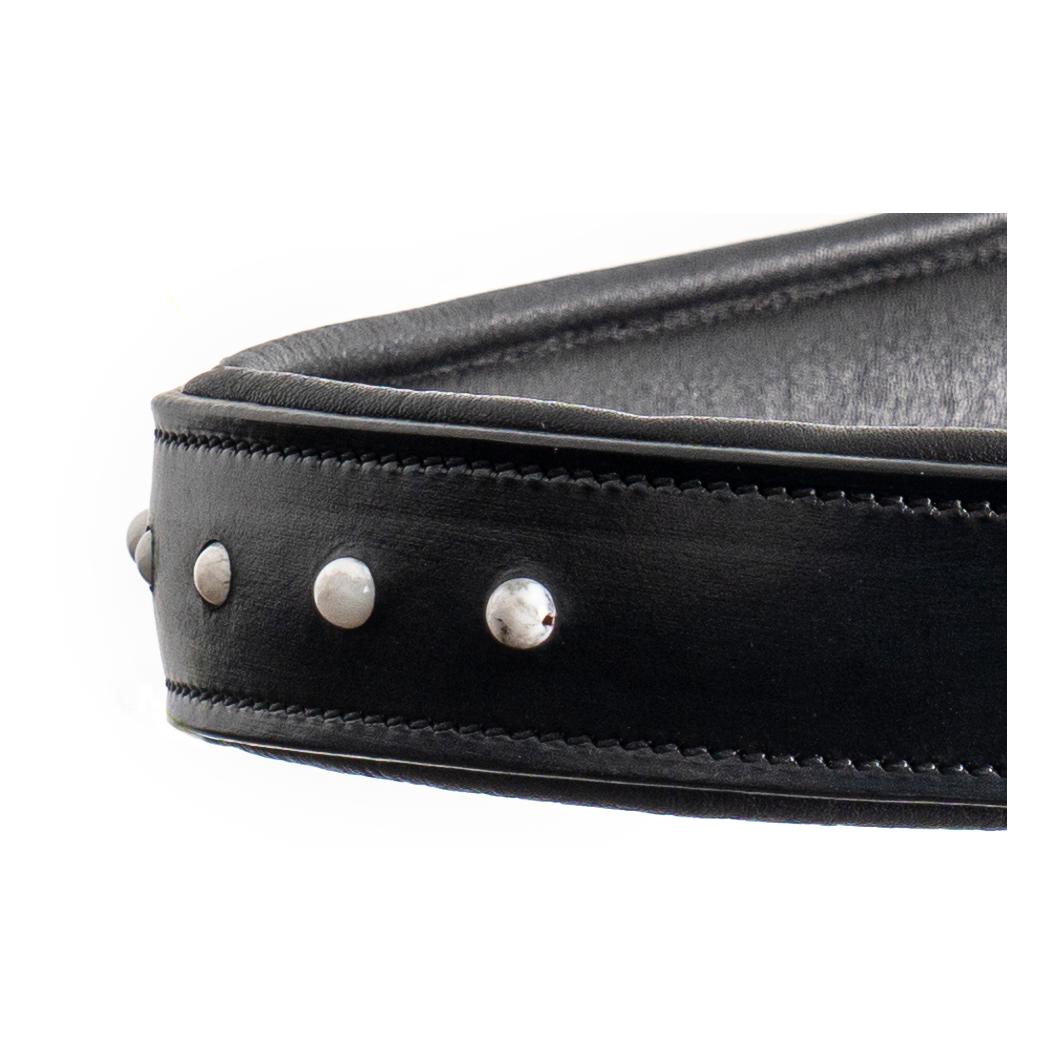 Glory System 1, mit Halsring und Balancezügel