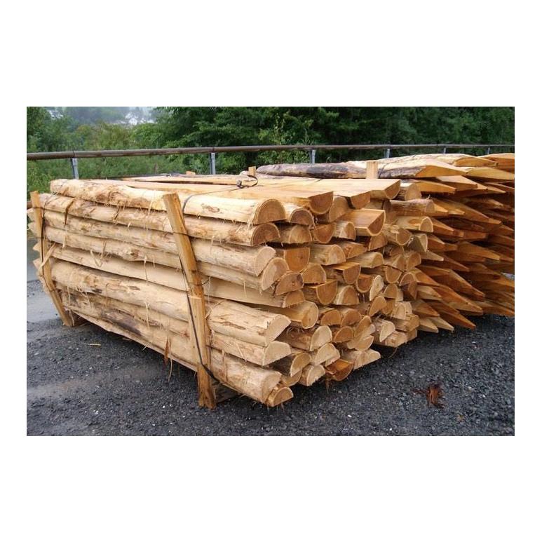 Robinienpfahl, halbiert