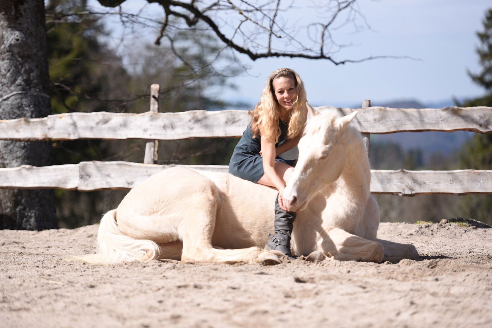 dsc-6356 dsc-6356