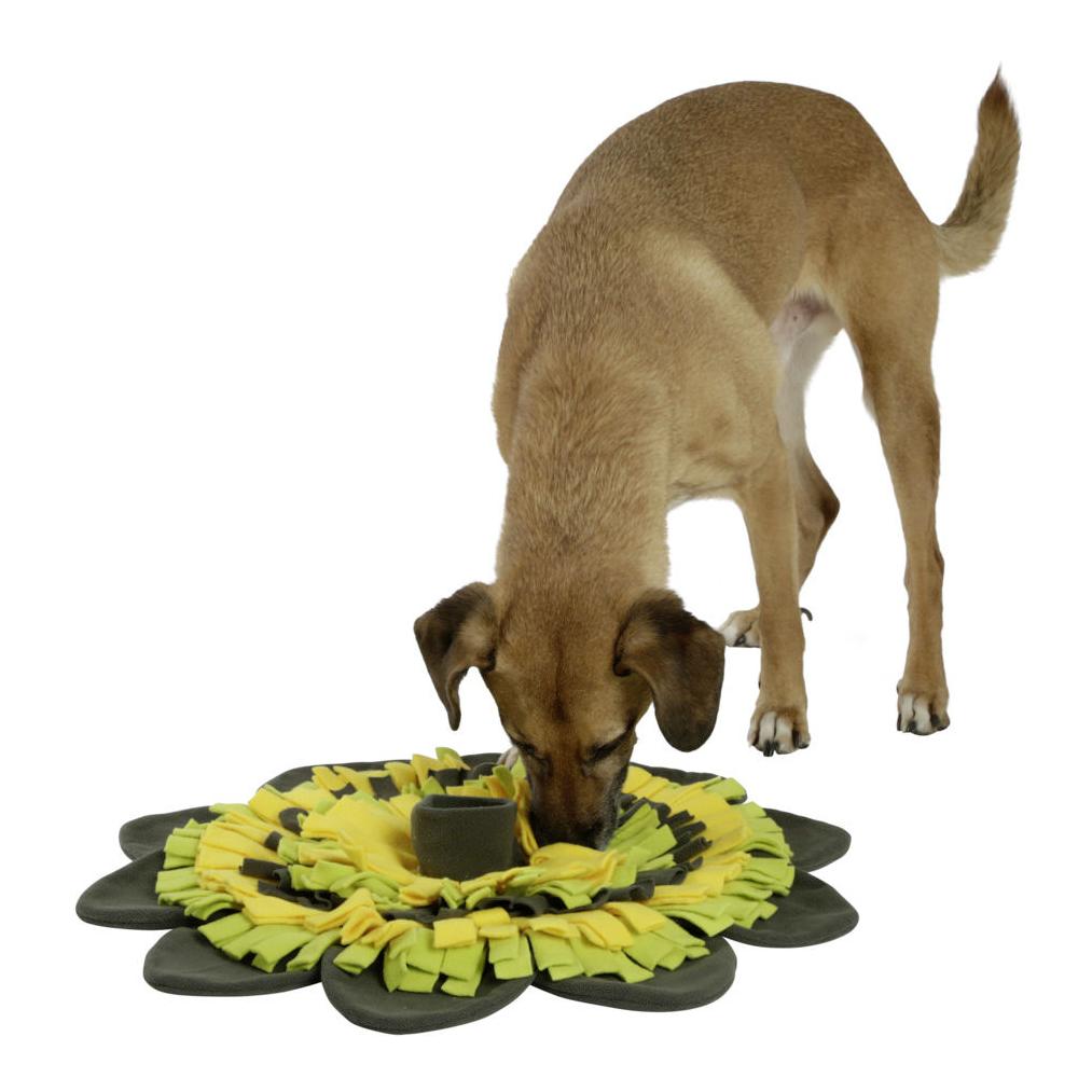 Schnüffelteppich Sunflower - gelb/grün