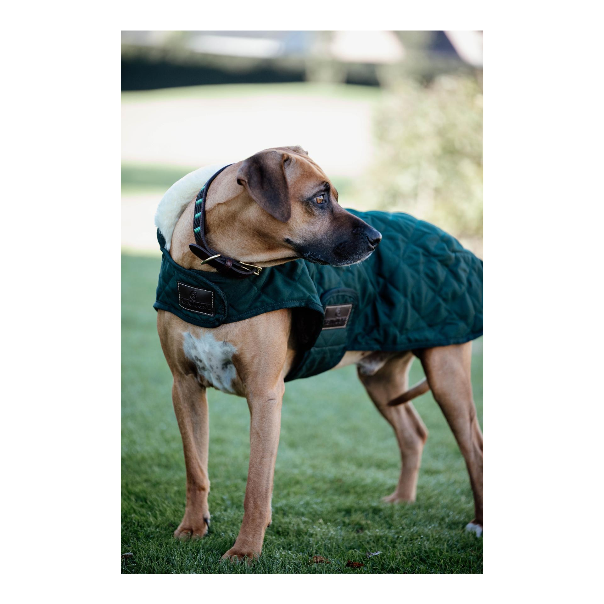 Hundemantel Original - dark green