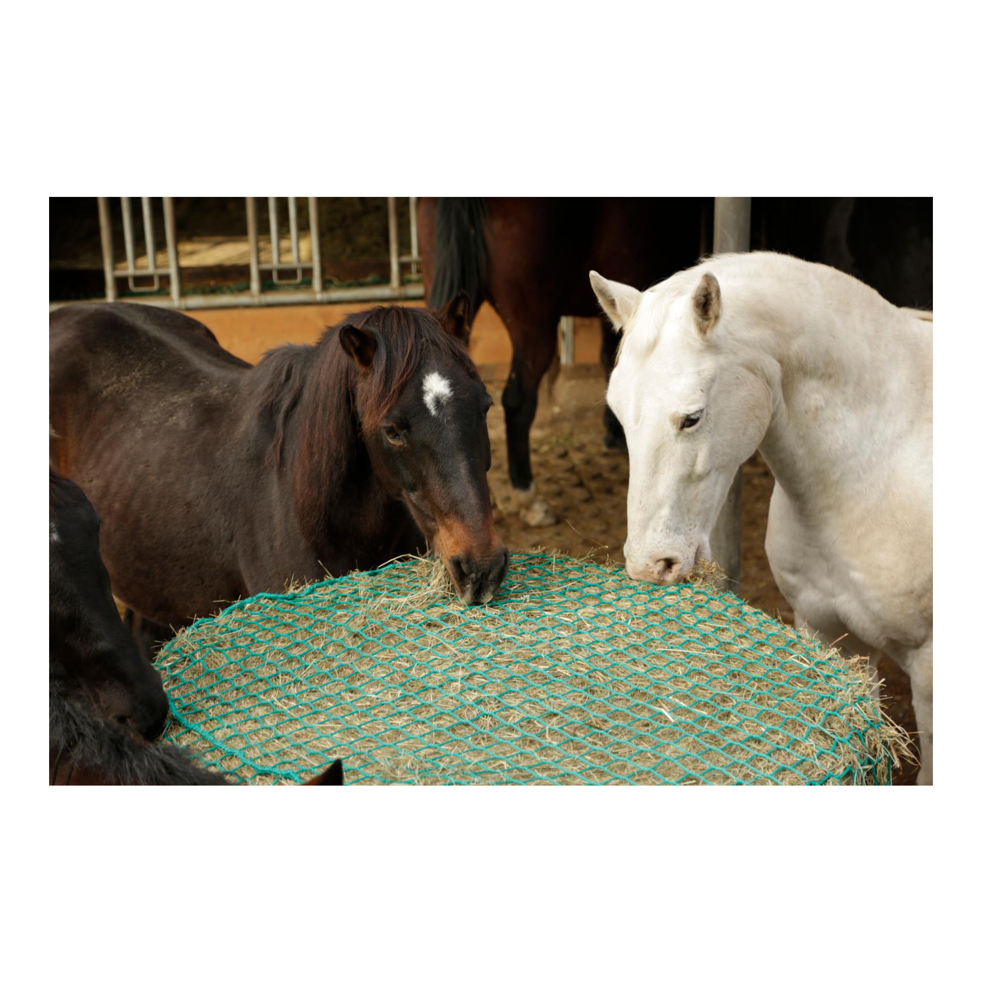 Heunetz für Rundballen