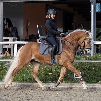 SB 3erbild_0002_Bildschirmfoto 2024-04-09 um 15.34.54