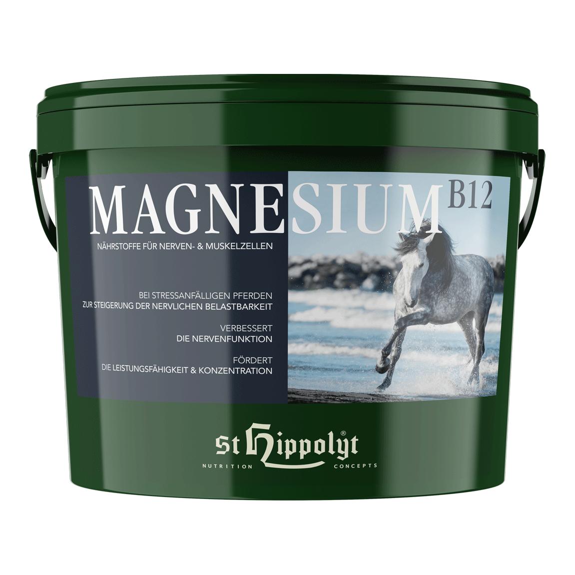 Magnesium B12 Magnesium B12