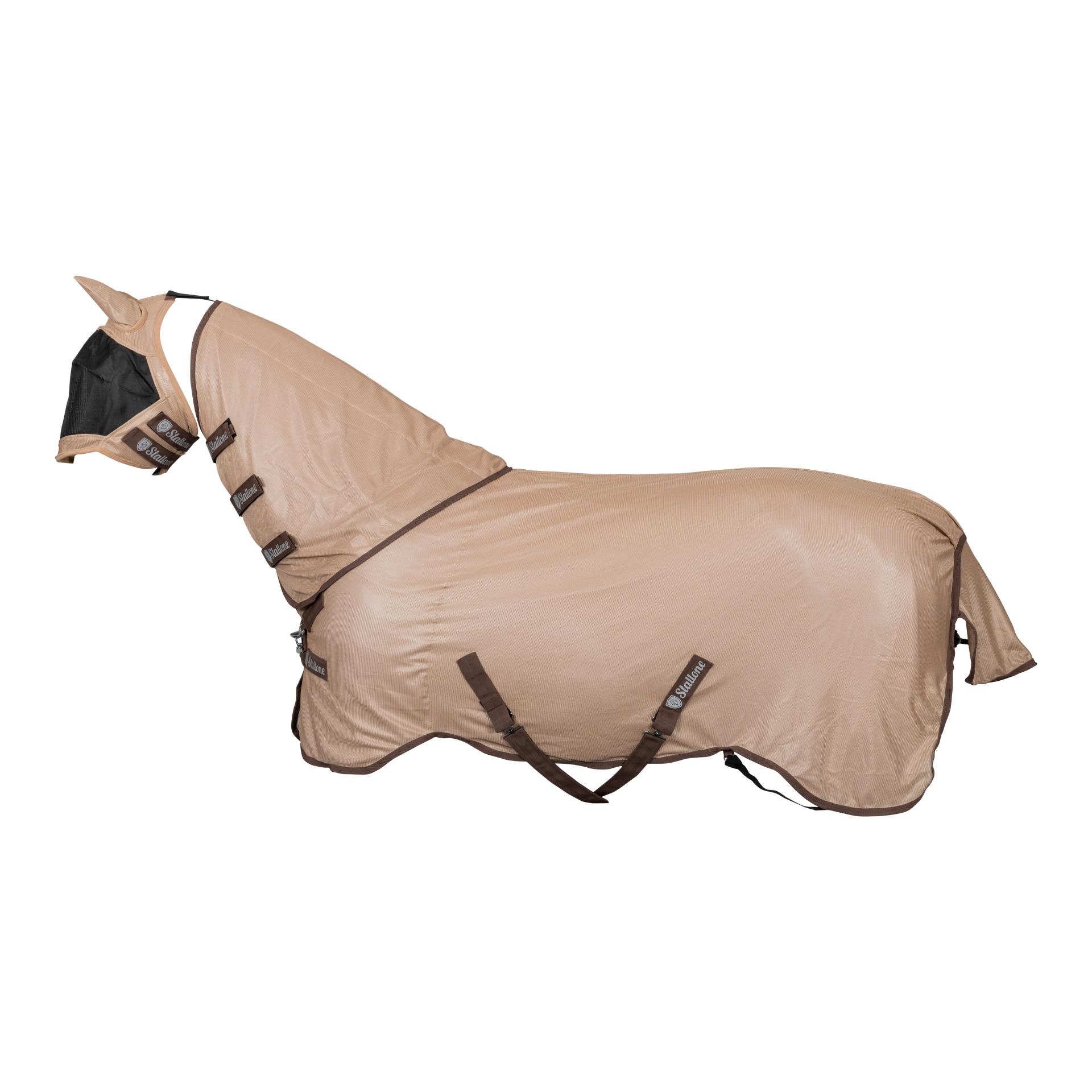 Fliegendecke Flybuster