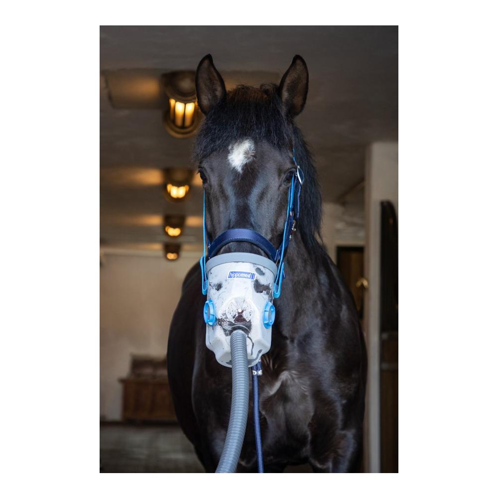 Ultraschall-Inhalator für Pferde AirOne