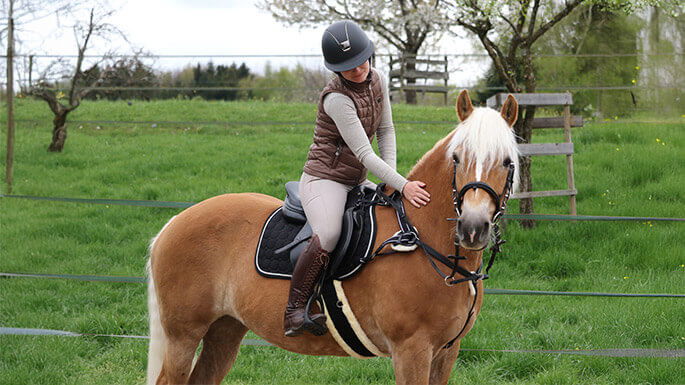 Hauptner-Pferd-newsletter