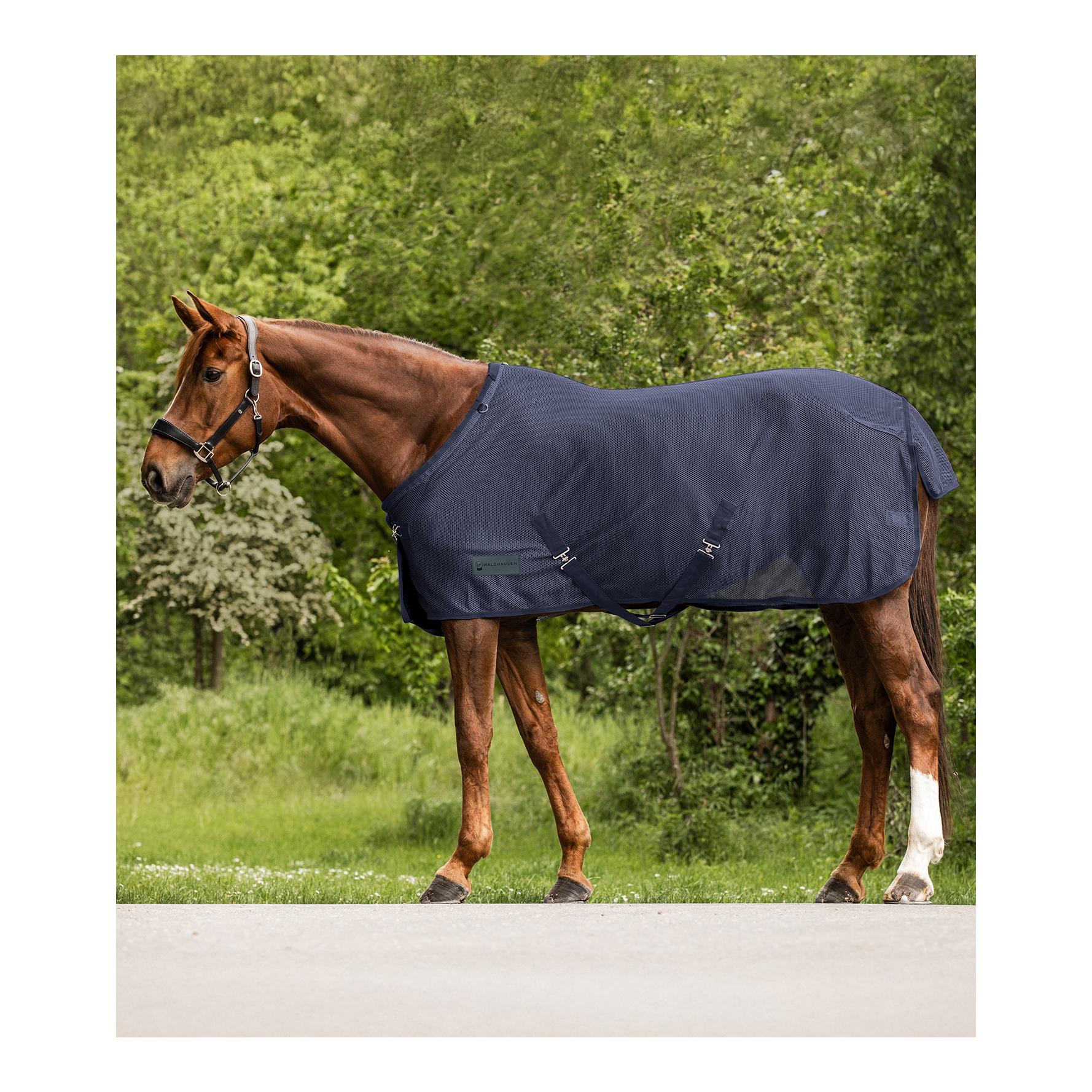 Fliegendecke Comfort mit Kreuzgurten Fliegendecke Comfort mit Kreuzgurten