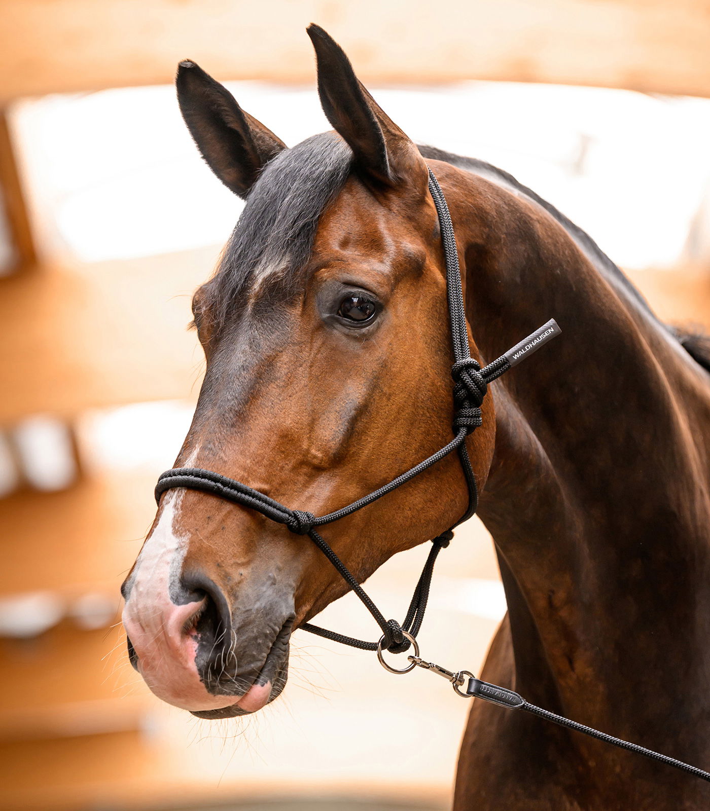 Knotenhalfter mit beweglichem Ring