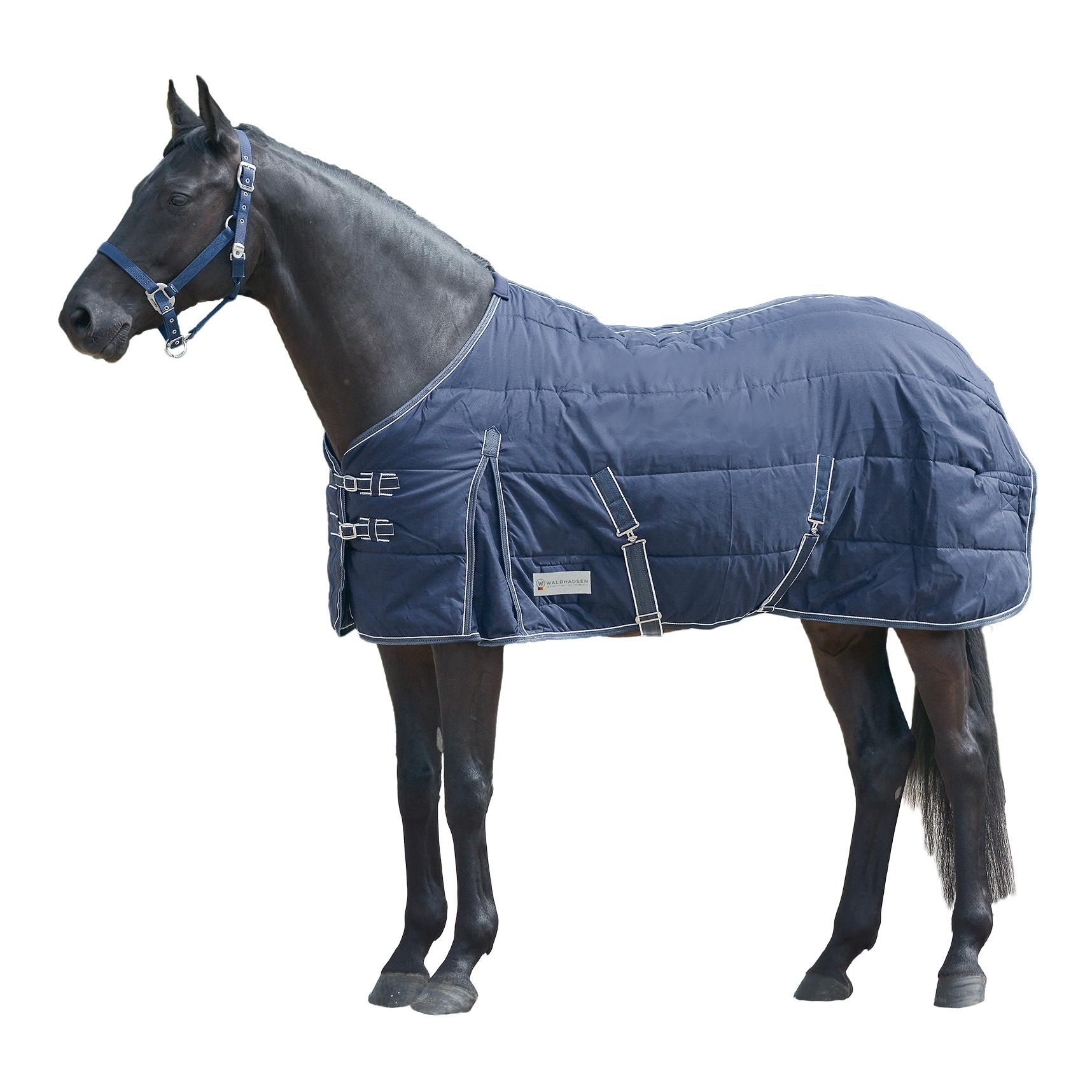 Stalldecke Economic 100 g - marine