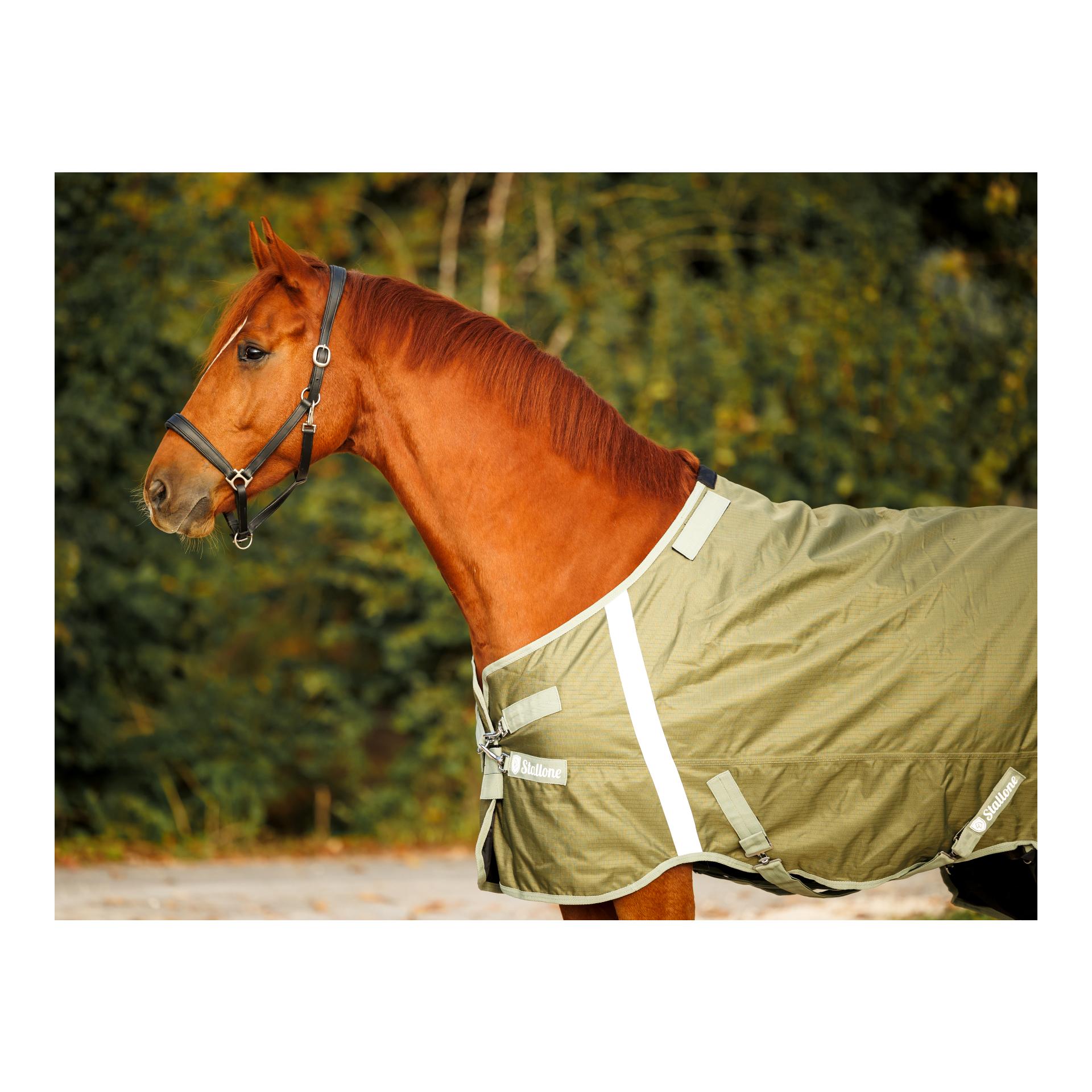 Weidedecke 200 g Outdoor Guard