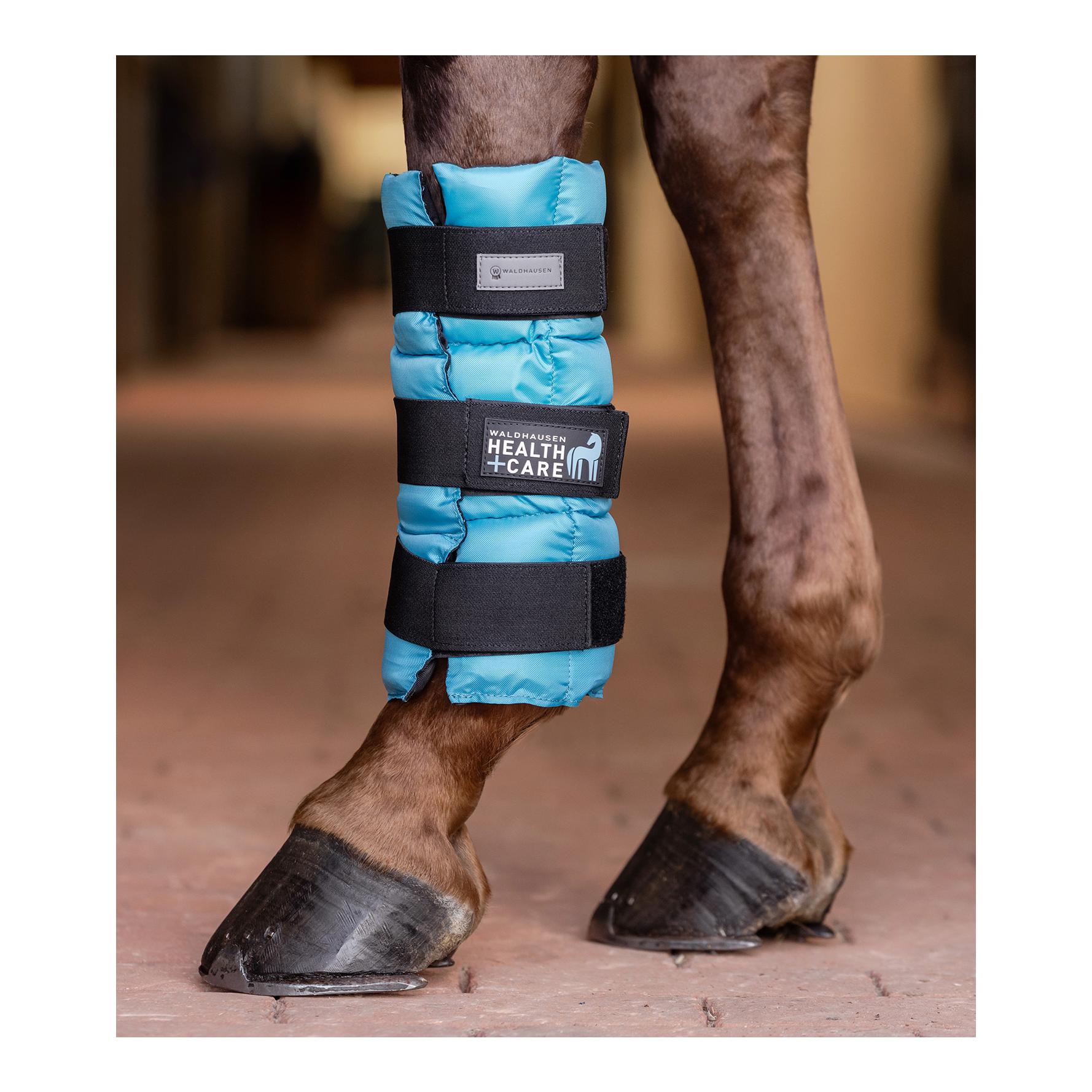 Waldhausen Health + Care Kühlgamasche, Stück