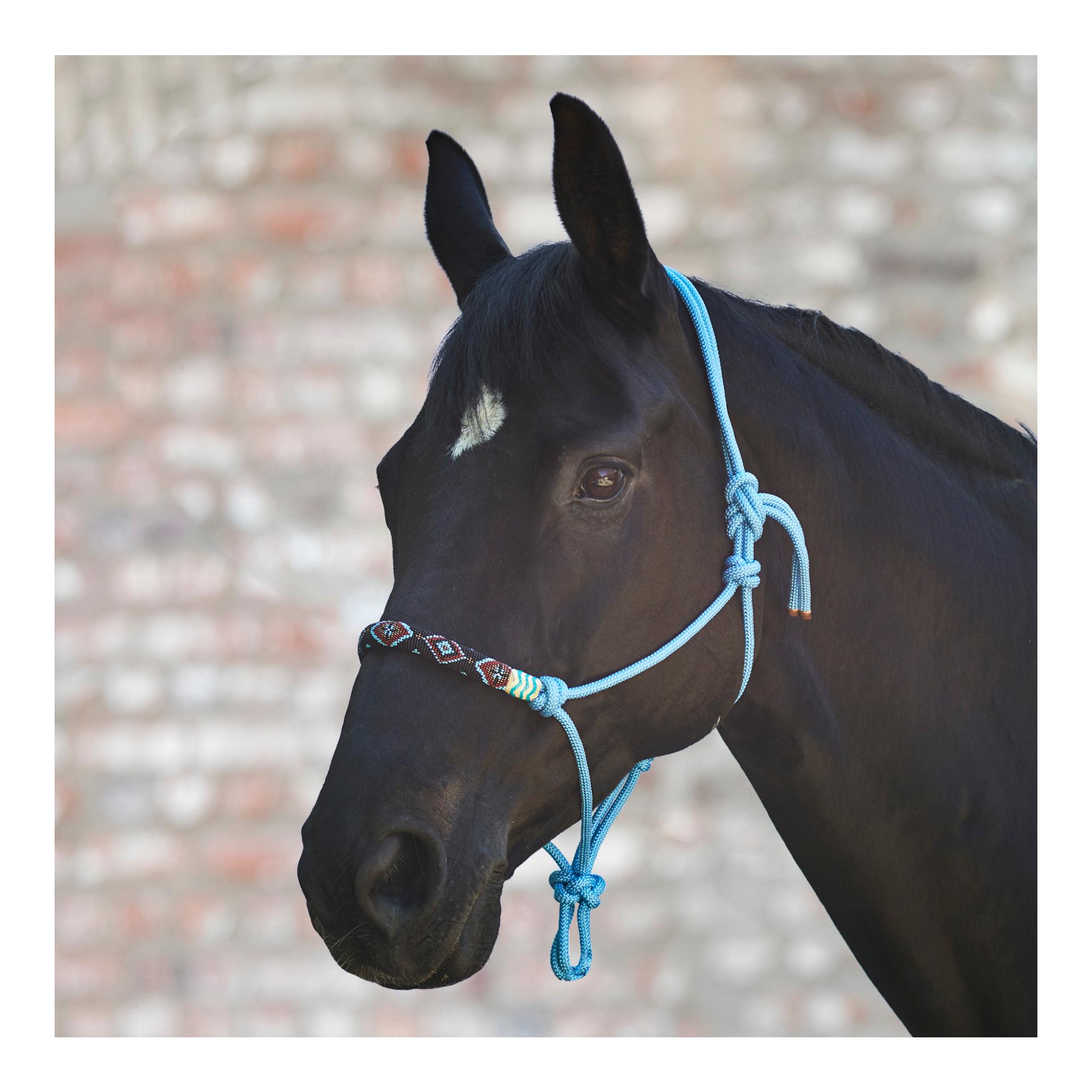 Knotenhalfter Pearls - azurblau