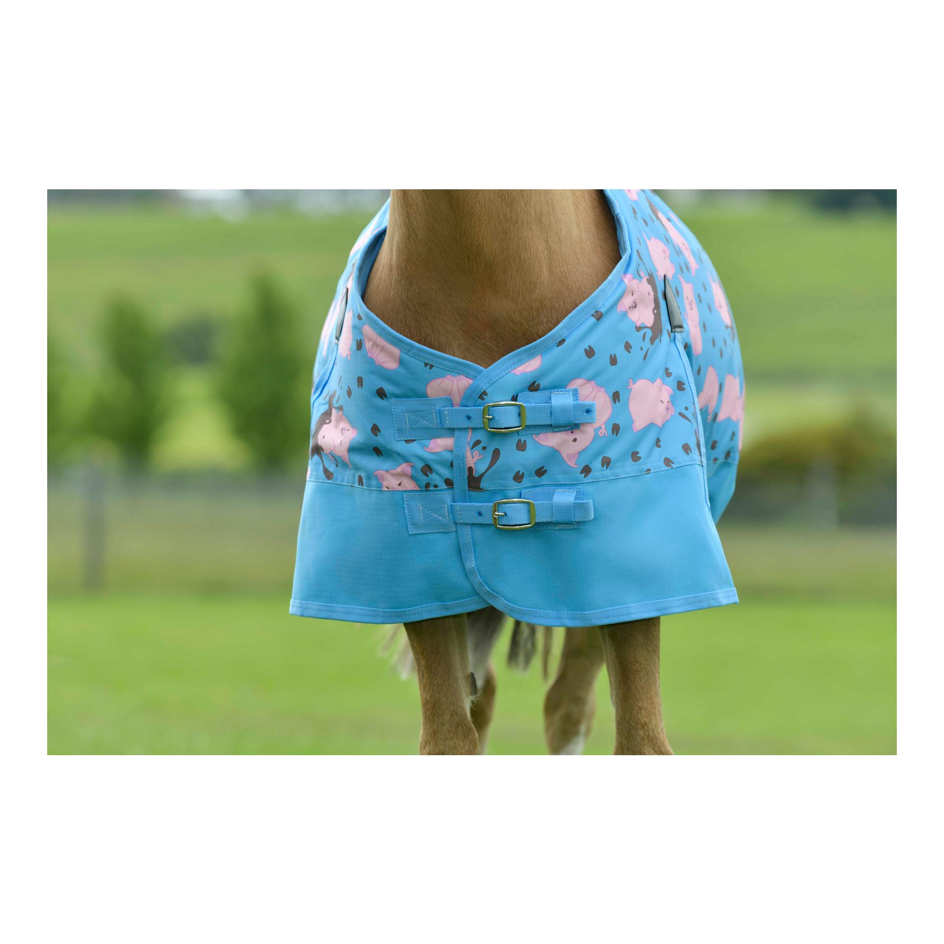 Weidedecke Pony 180g