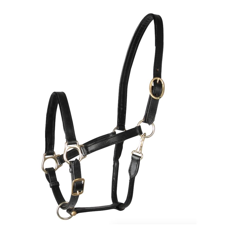 Lederhalfter «Robust» - schwarz