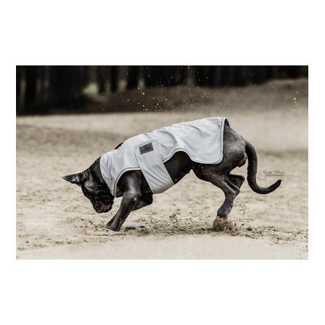 Hunde Regenjacke
