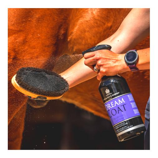 Mähnenspray Dreamcoat