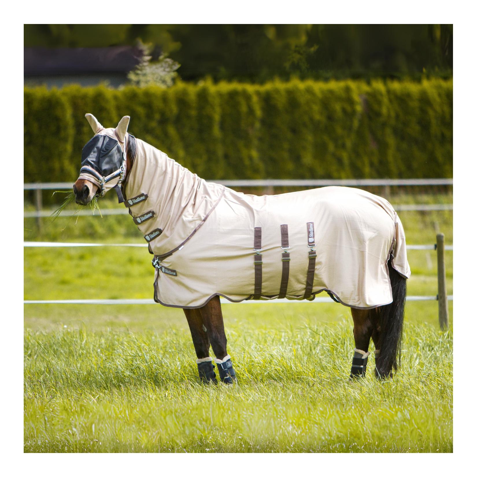 Halsteil Summer Guard