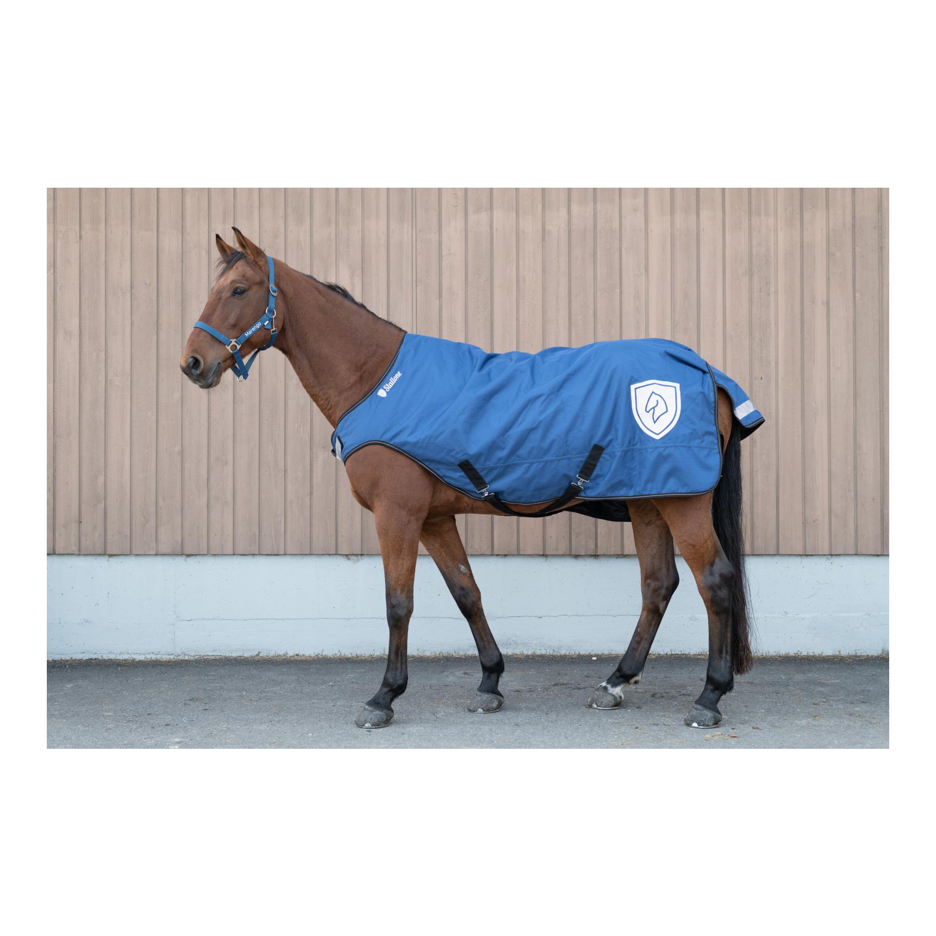 Walker Rug 100 g Walker Rug 100 g
