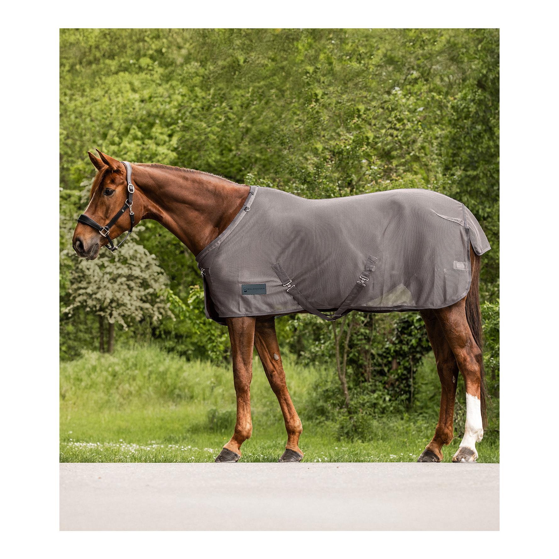 Fliegendecke Comfort mit Kreuzgurten