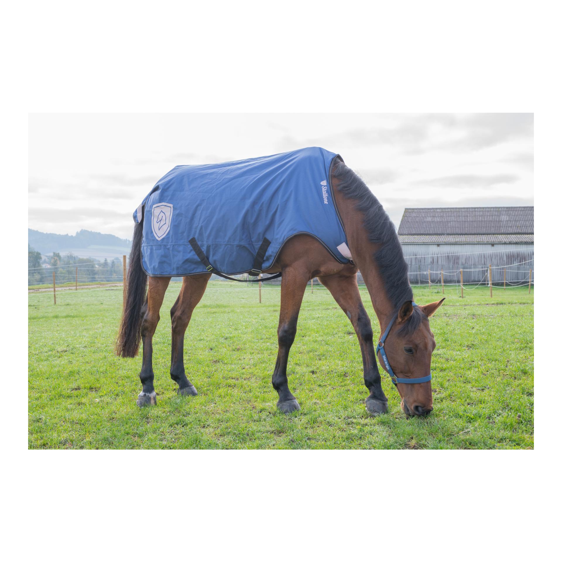 Walker Rug 100 g Walker Rug 100 g