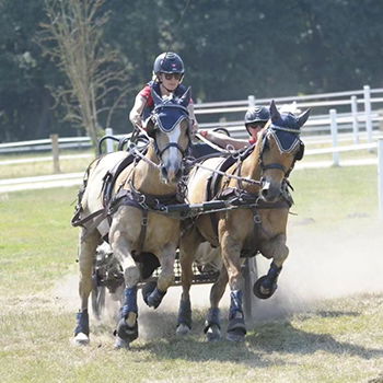 SB 3erbild_0000_Bildschirmfoto 2024-04-09 um 15.35.26