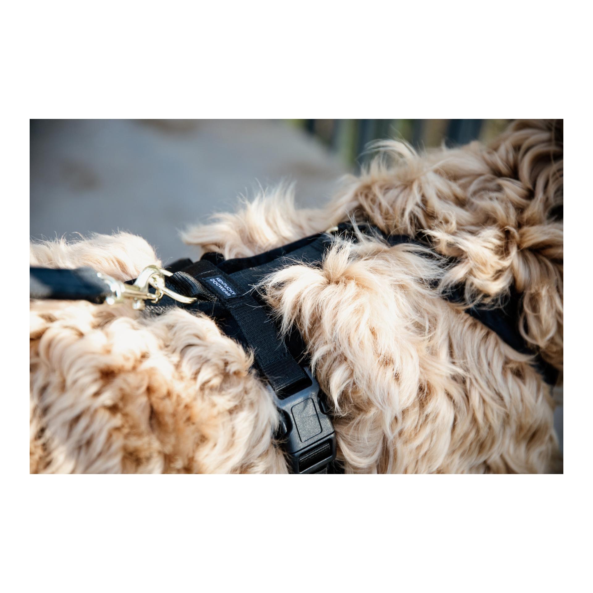 Hundegeschirr Active Velvet