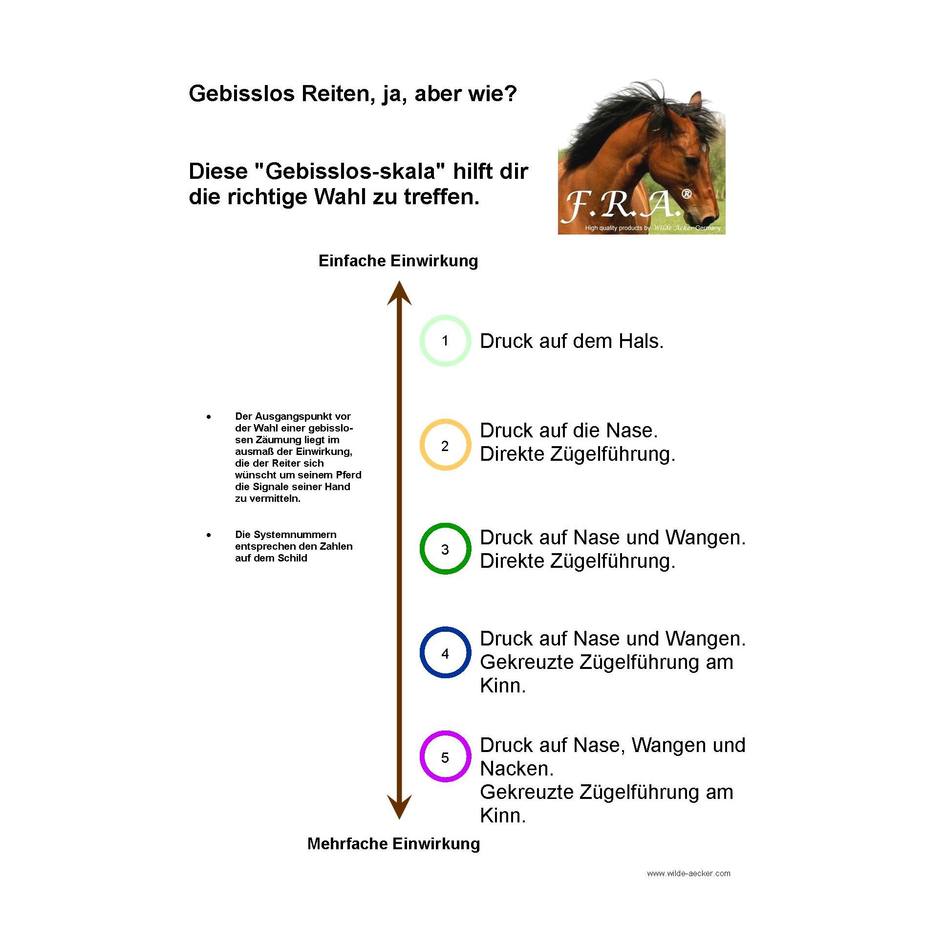 Glory System 3, Side-Pull mit Perlen