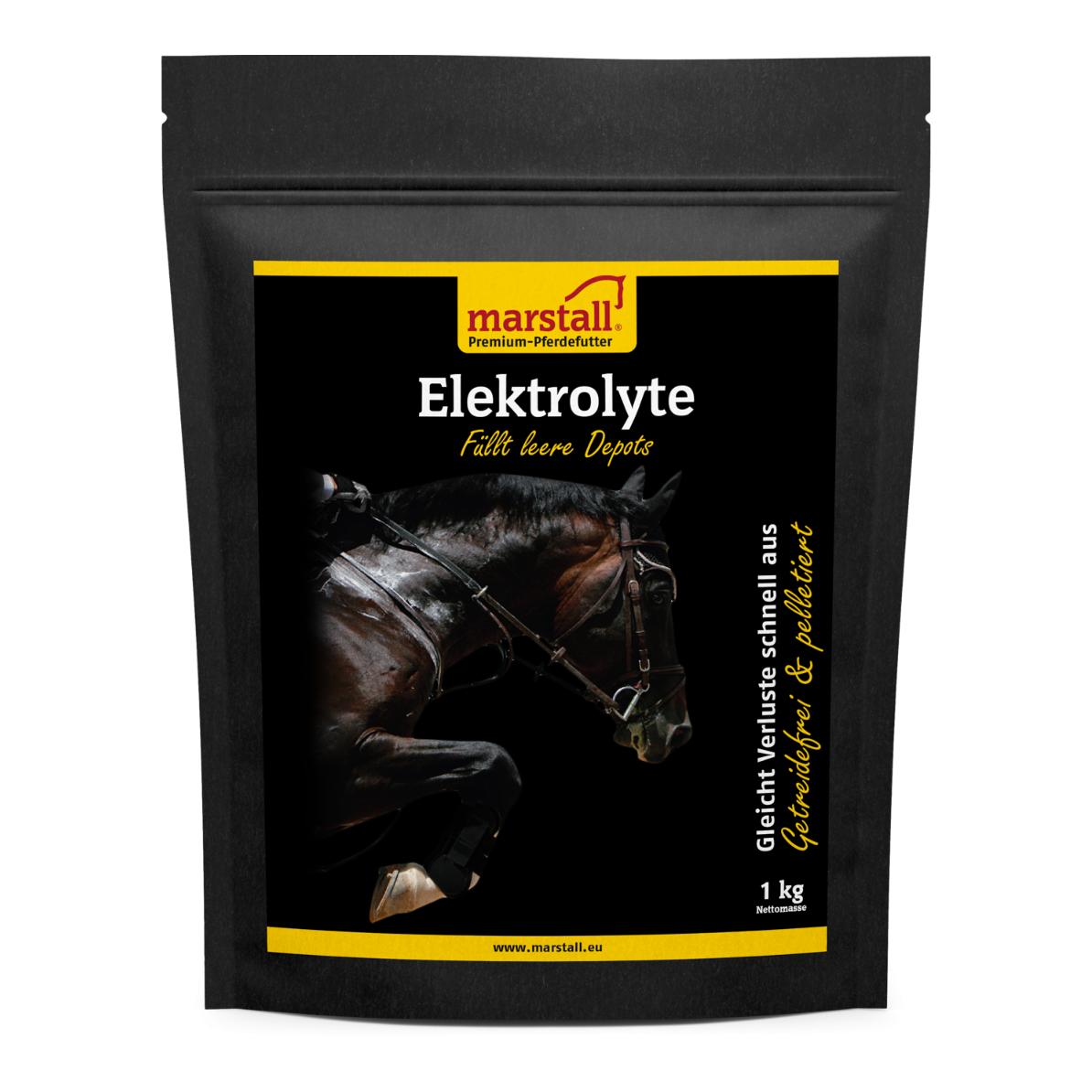 Electrolyte, pelletiert