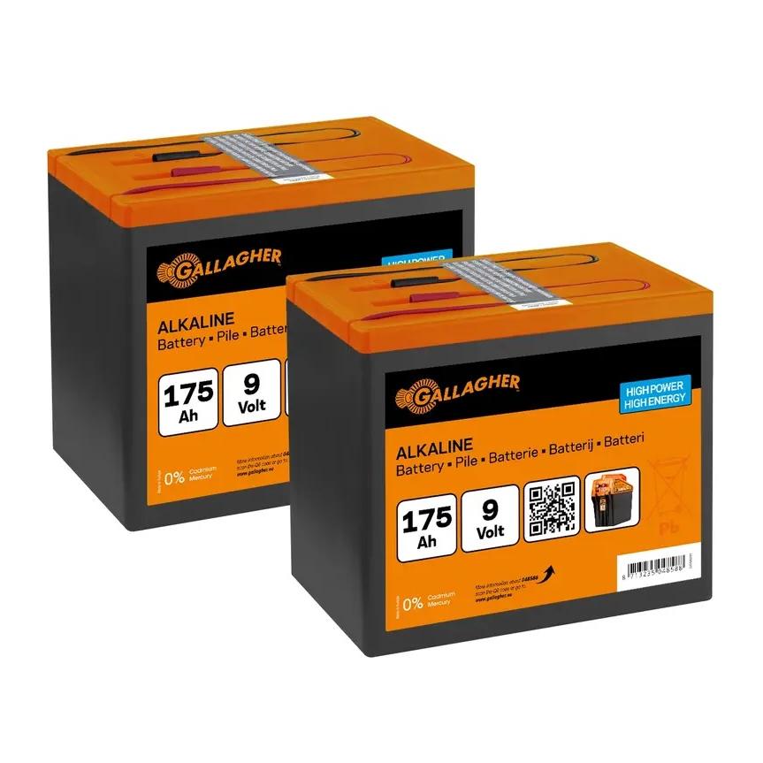 Gallagher Duopack Alkaline Batterie