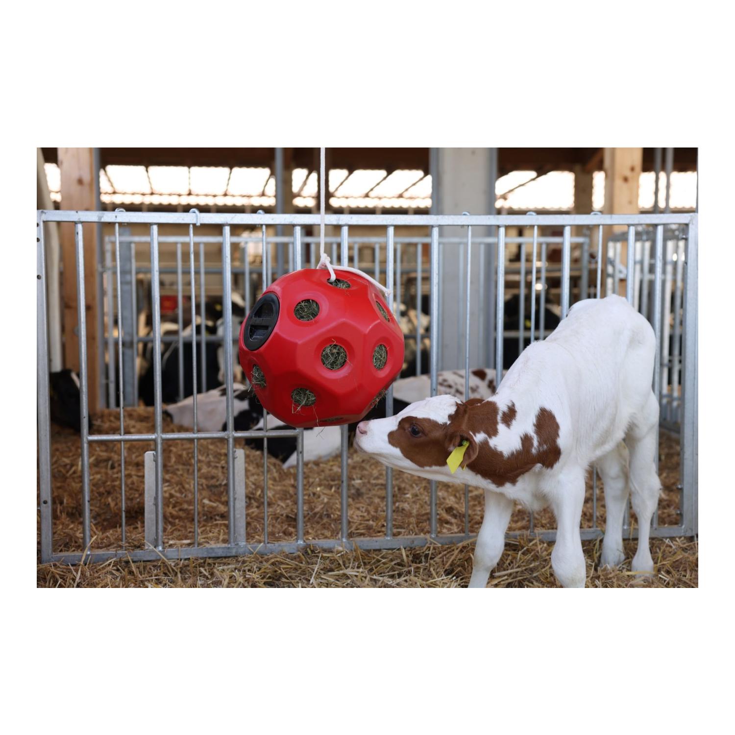 HeuBoy Futterspielball - blau