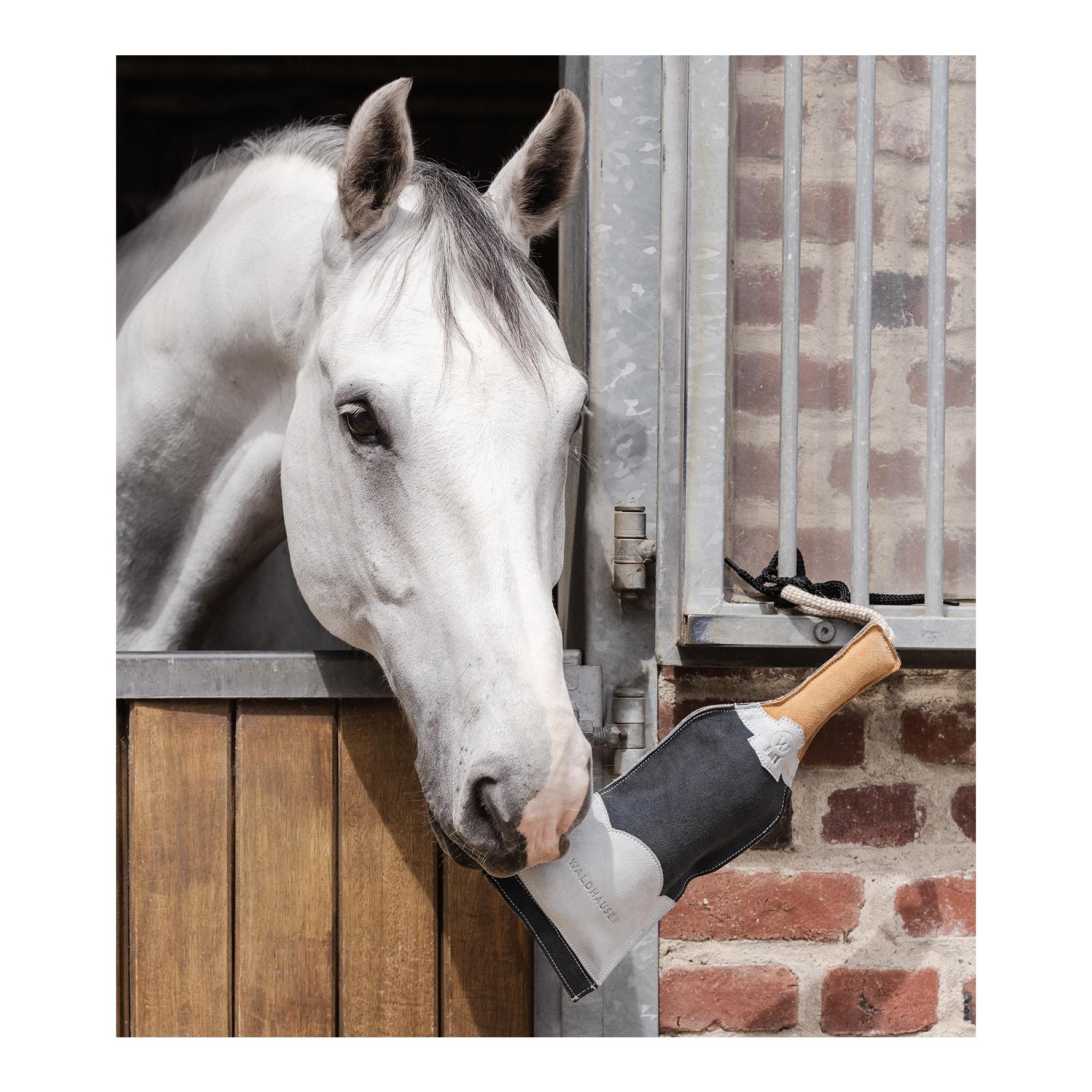 Pferdespielzeug Sektflasche