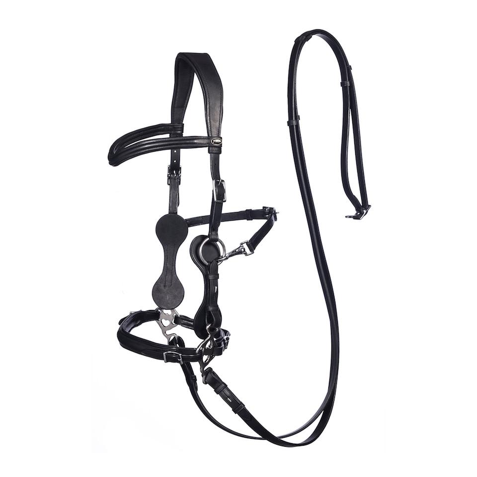 Zaum Hackamore Calli