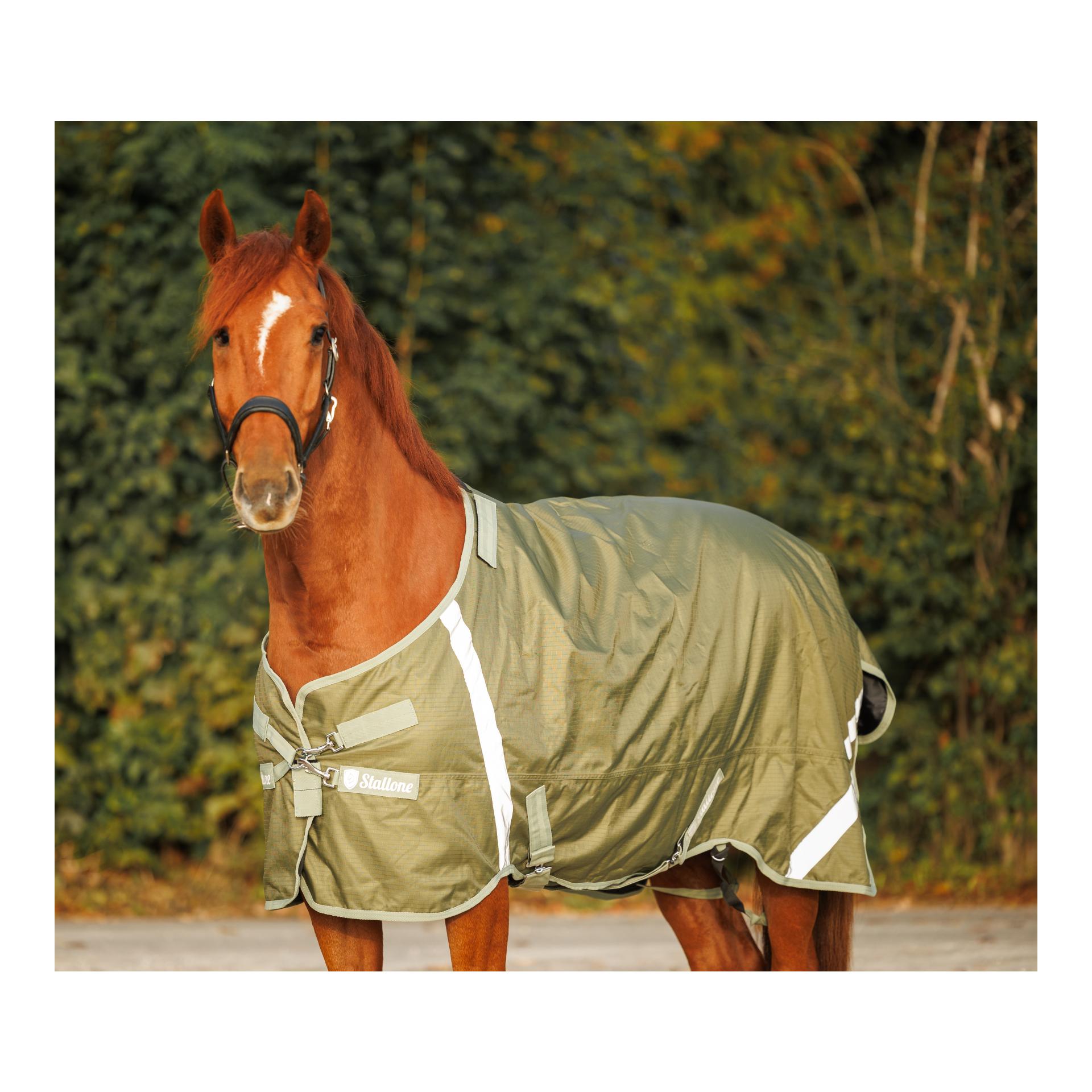 Weidedecke 200 g Outdoor Guard