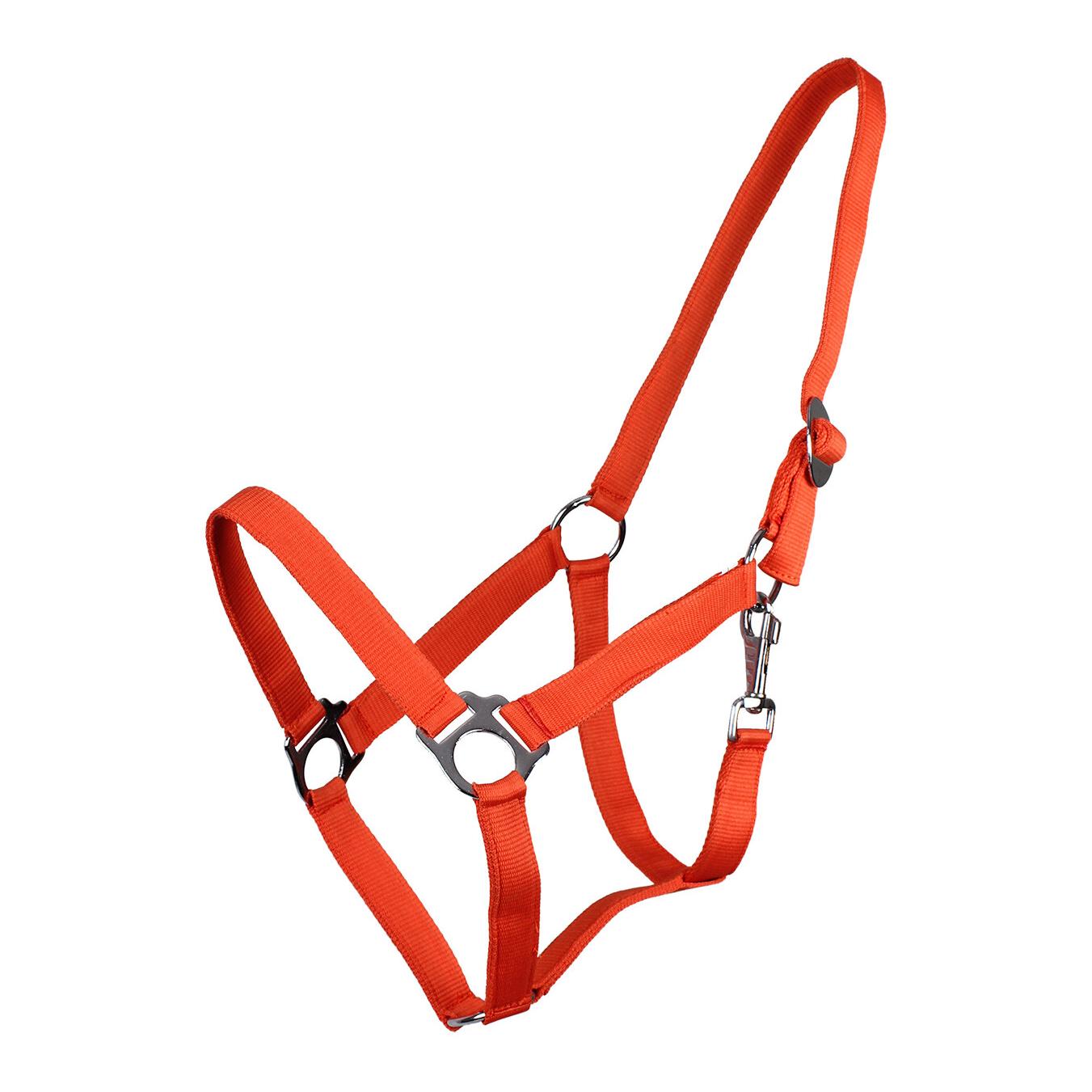 Nylonhalfter mit Schiebeschnalle