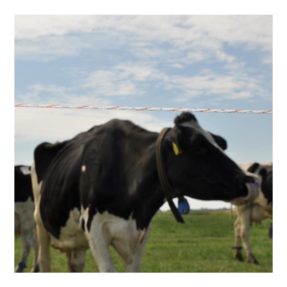 Duopack Vidoflex 9 Turboline Plus