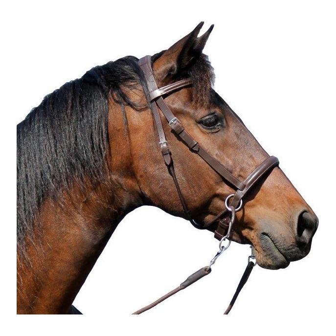 Gebissloser Zaum el camin