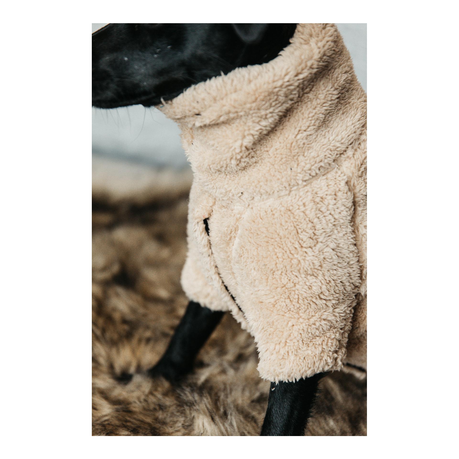 Hundepullover Teddy Fleece - beige