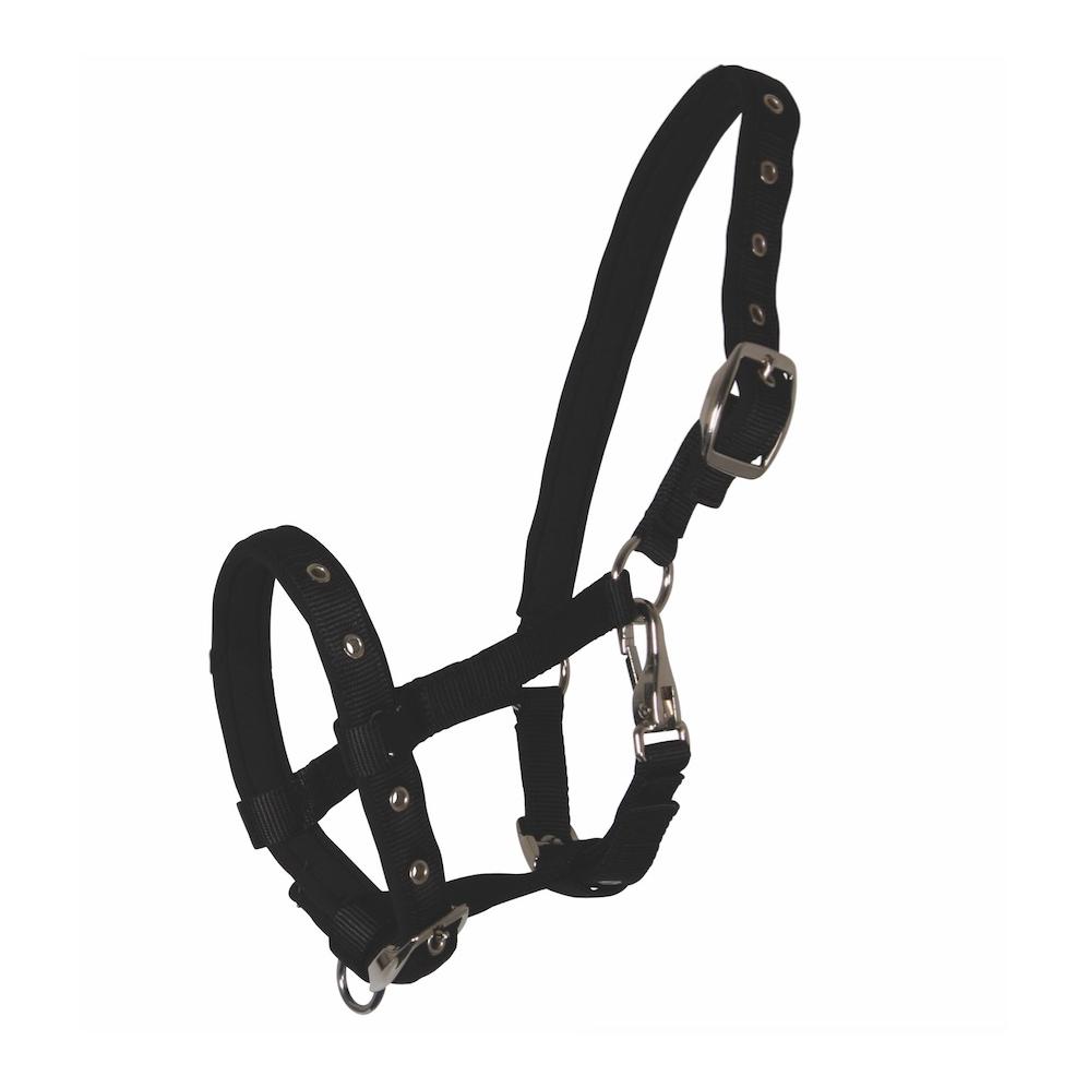 Fohlenhalfter Comfort - schwarz