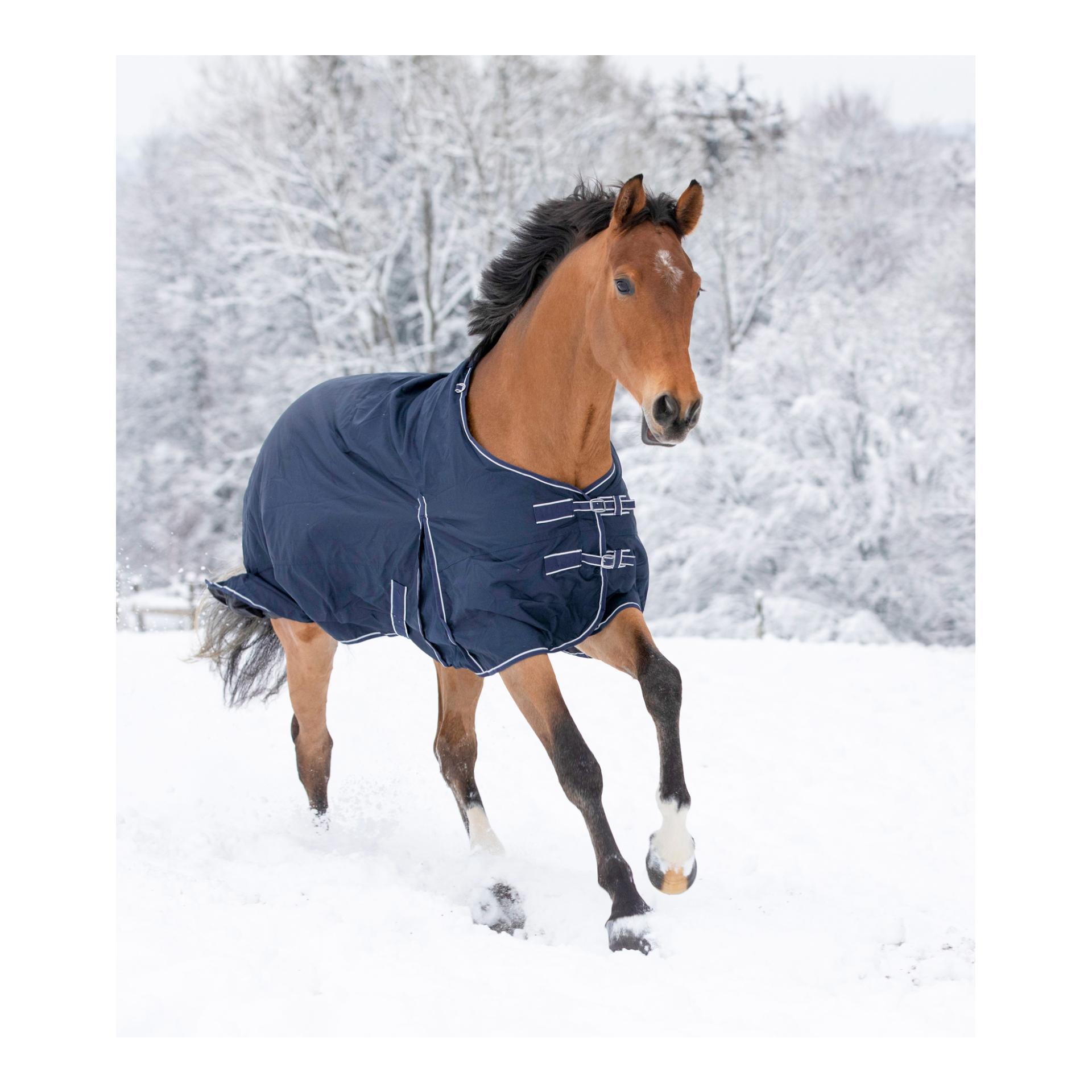 Outdoordecke Economic 50 g - nachtblau