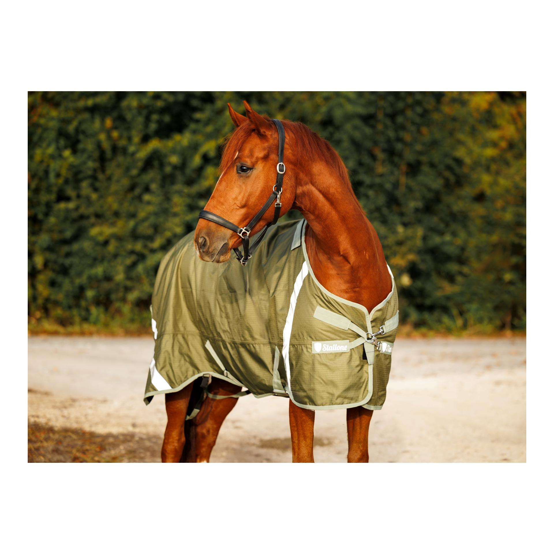 Weidedecke 200 g Outdoor Guard