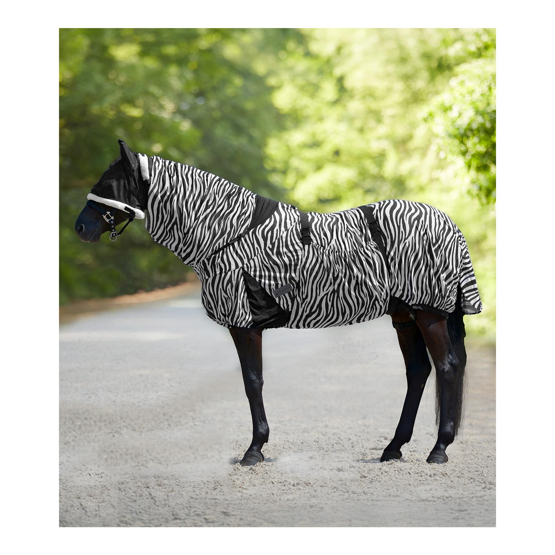 Ekzemerdecke Zebra Ekzemerdecke Zebra