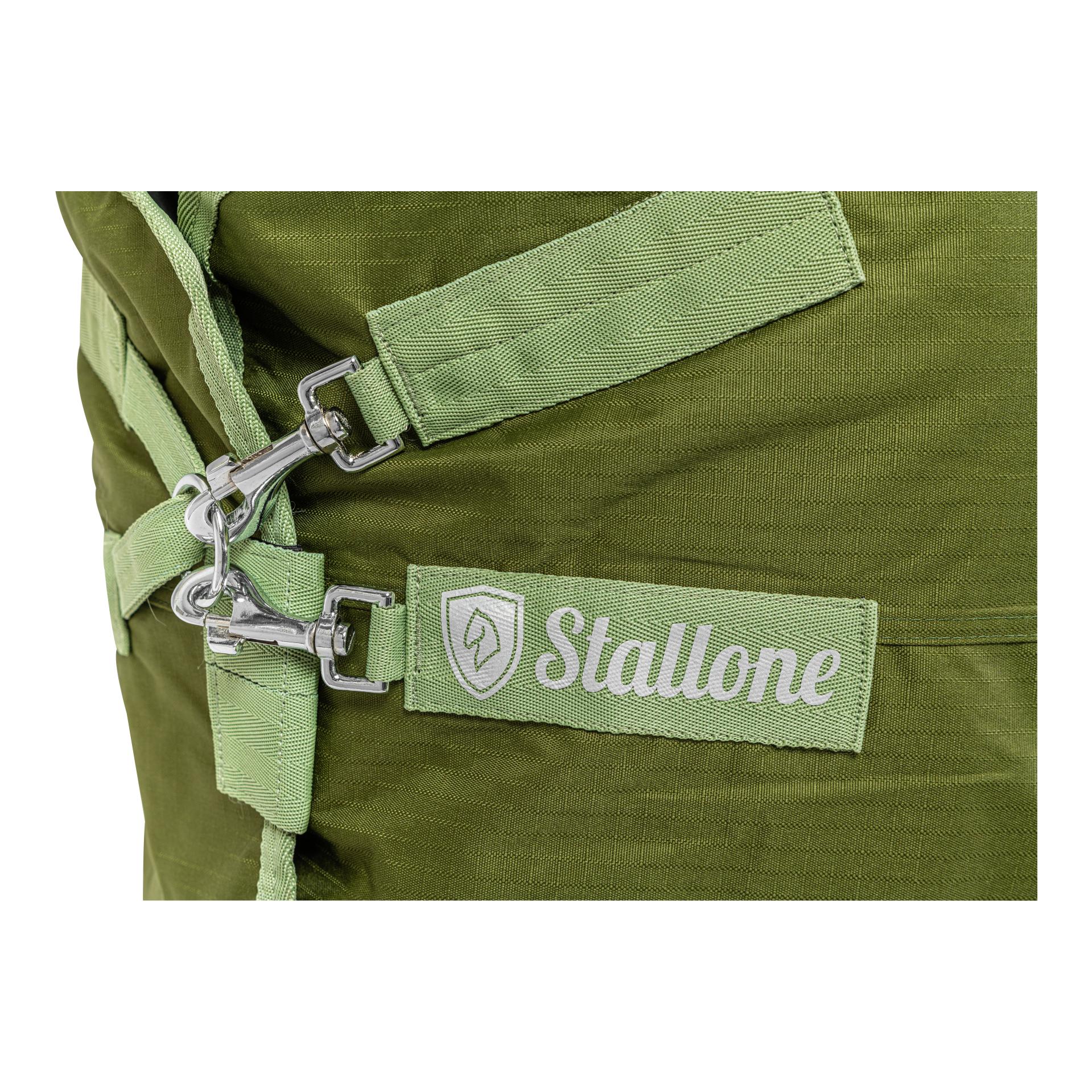 Weidedecke 200 g Dallas