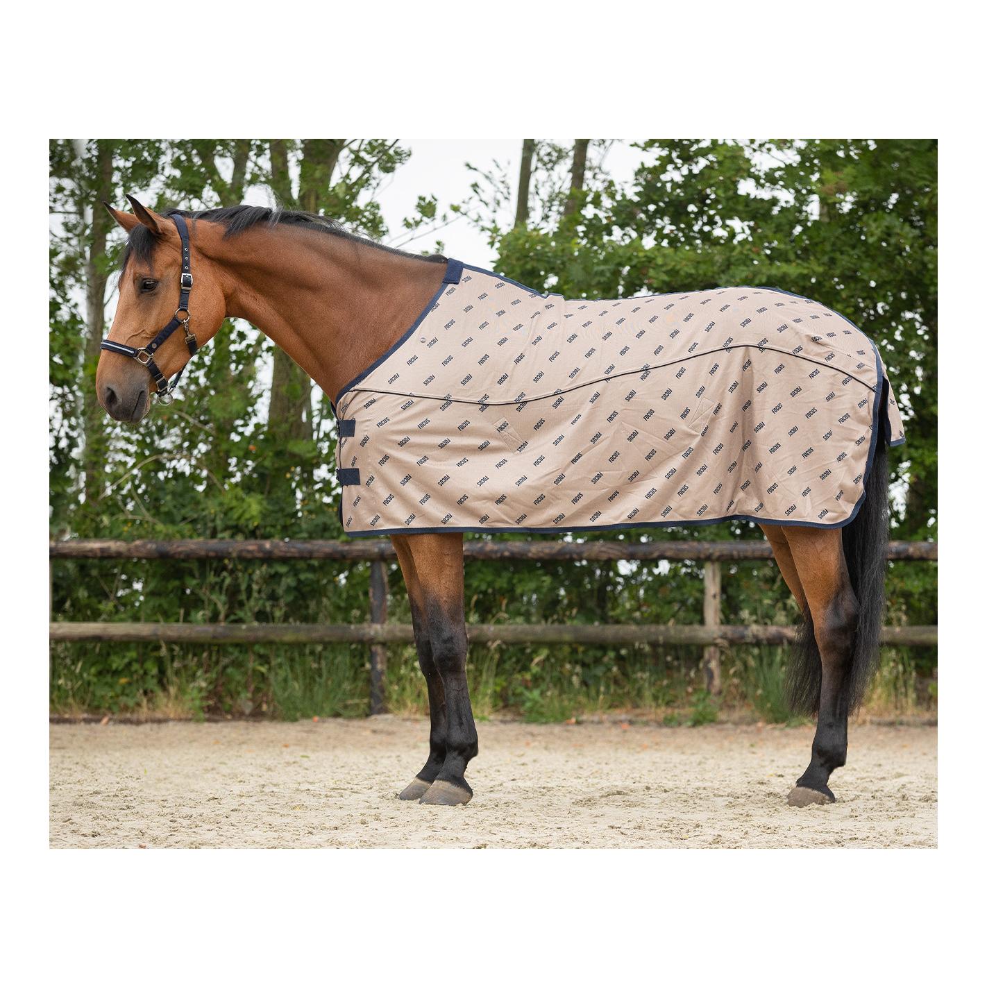 Fliegendecke Summer Focus